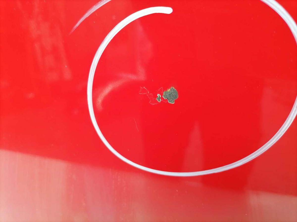 Ford Fusion original Motorhaube Rot Facelift Bj.2007 Ford Fusion original Motorhaube Rot Facelift Bj.2007